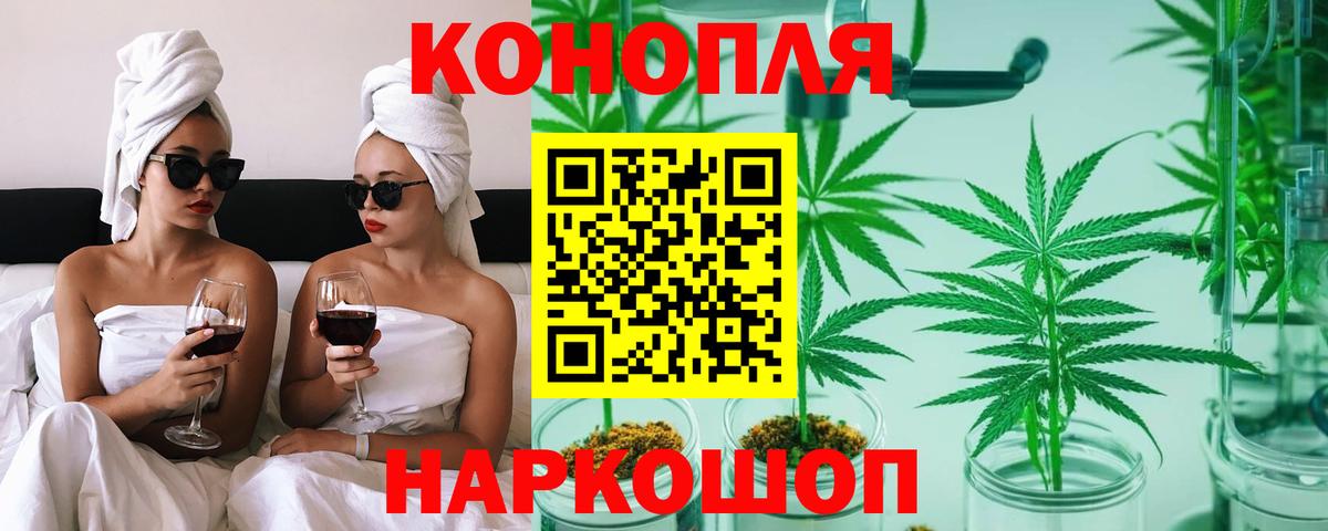 Бошки Шишки сатива  Конопля планчик  Канабис семена  Петрозаводск  Вход с VPN  МАРИХУАНА ГИДРОПОН 